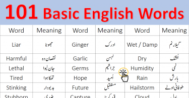 101 Beginner English Words with Meanings in Urdu