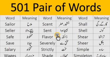 501 Pair of Words Meaning in Urdu PDF Book learn homophones also called pair of words for exams like CSS, PMS, NTS, PPSC, FPSC, OTS, UPSC, also for class 9th, 10th, 2nd year exams preparation with their Urdu meanings.