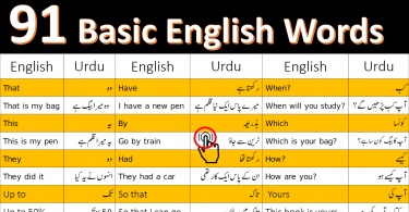 91 Basic English Words with Urdu Meanings and Sentences