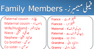 Family Members in Urdu and English PDF learn all members of a family in English and their meanings in Urdu