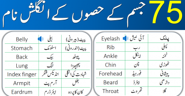 Parts of Body for Kids with Urdu Meanings learn common parts of human body and their meanings in Urdu for improving your English vocabulary