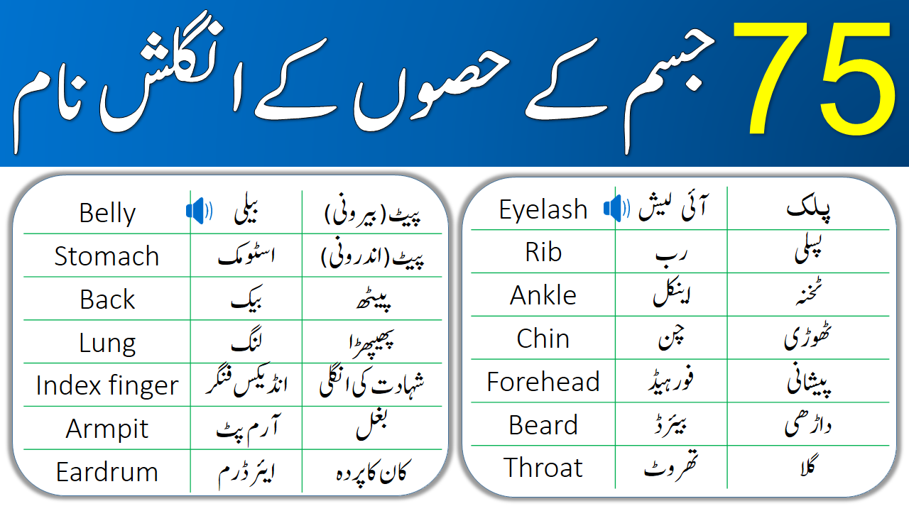 Parts of Body with Urdu meanings, Body Parts Vocabulary in Urdu  English  vocabulary words learning, English phrases sentences, English vocabulary  words