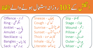 103 Important English Words with Urdu Meanings PDF learning English vocabulary is much important for every English learner to speak English in daily life situations