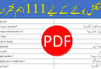 111 English Sentences for Daily Use with Urdu Translation