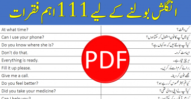 111 English Sentences for Daily Use with Urdu Translation