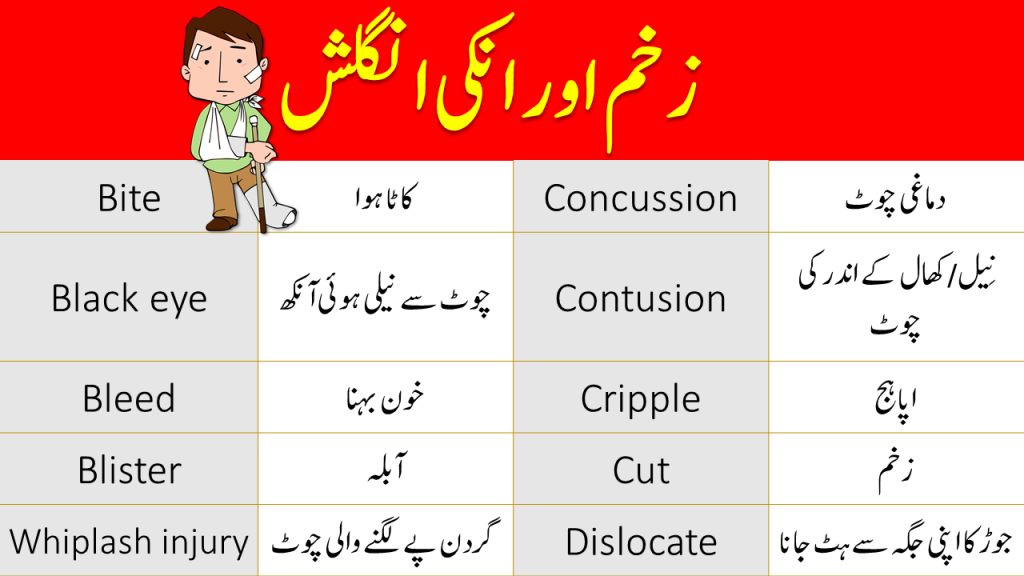 Injuries Vocabulary Words List with Urdu Meanings • Engrary
