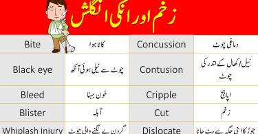 injuries vocabulary list with urdu meanings