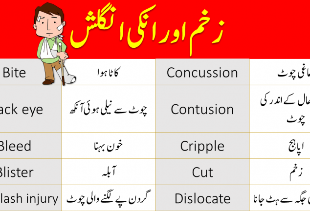 furniture-vocabulary-with-urdu-meanings-engrary