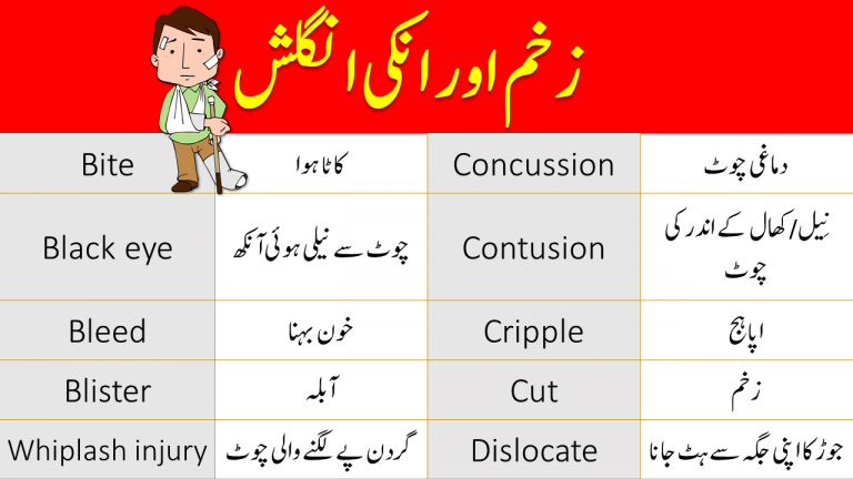 Injuries Vocabulary Words List With Urdu Meanings Engrary My Xxx Hot Girl