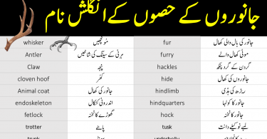 parts of animals vocabulary with urdu meanings