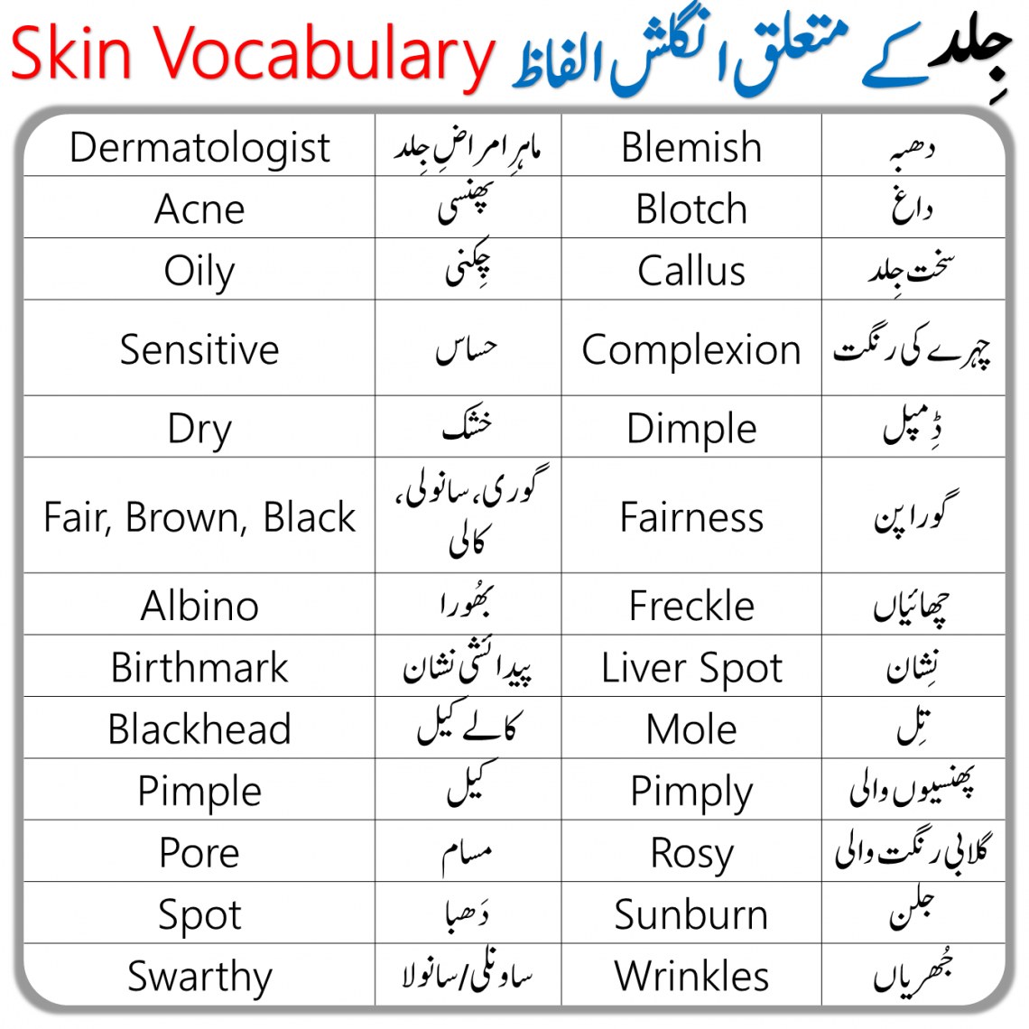 Skin Vocabulary Words List With Urdu Meanings • Engrary