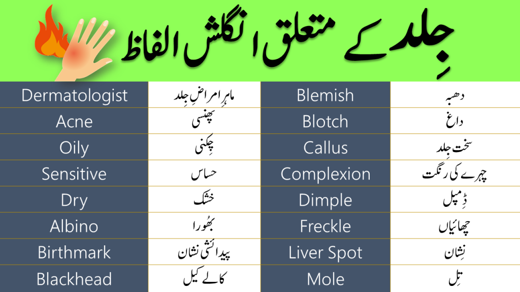 Appearance Words Meaning In Urdu