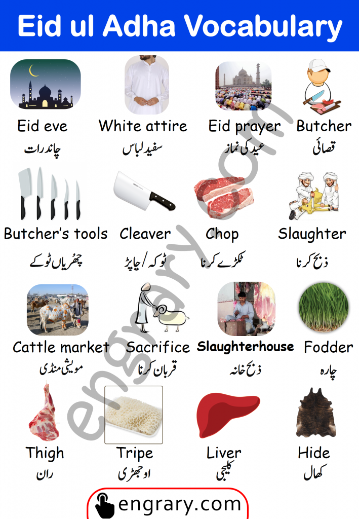 Eid ul Adha vocabulary words in English and Urdu, English vocabulary about eid al adha with Urdu meanings, Eid vocabulary in Urdu, Eid vocabulary in Hindi, Eid vocabulary, English to Urdu vocabulary, Eid Words, Eid vocabulary