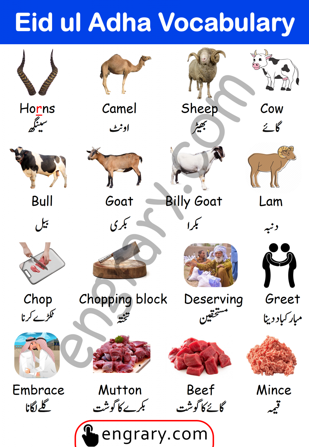 Eid Ul Adha Vocabulary Words In English And Urdu • Engrary