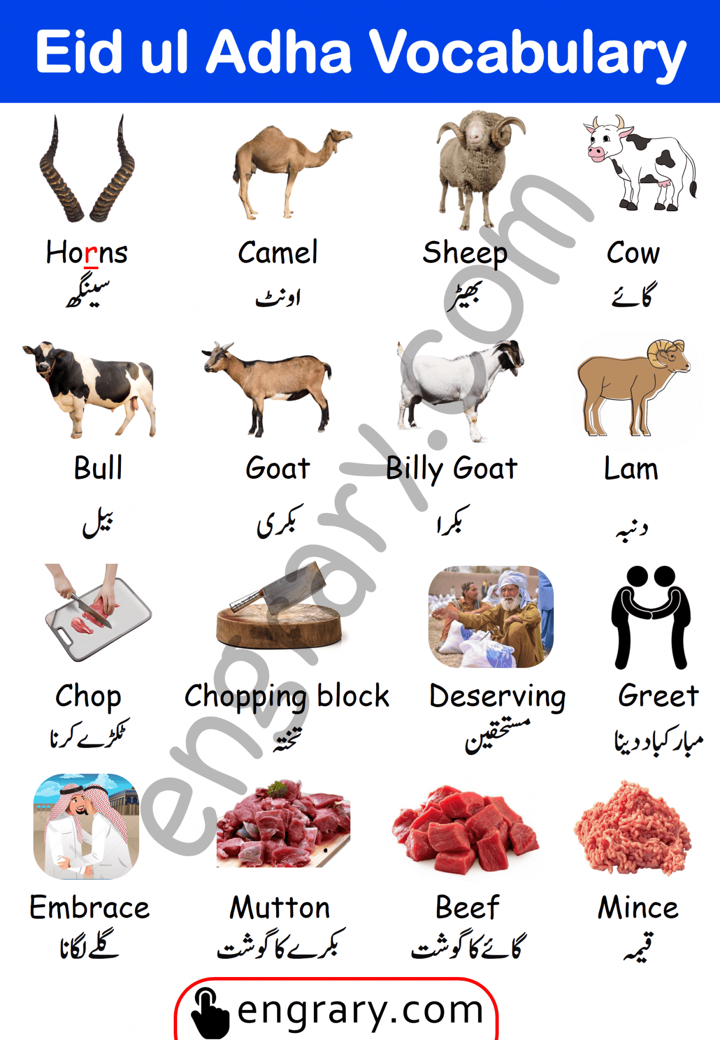 Eid ul Adha Vocabulary Words in English and Urdu • Engrary