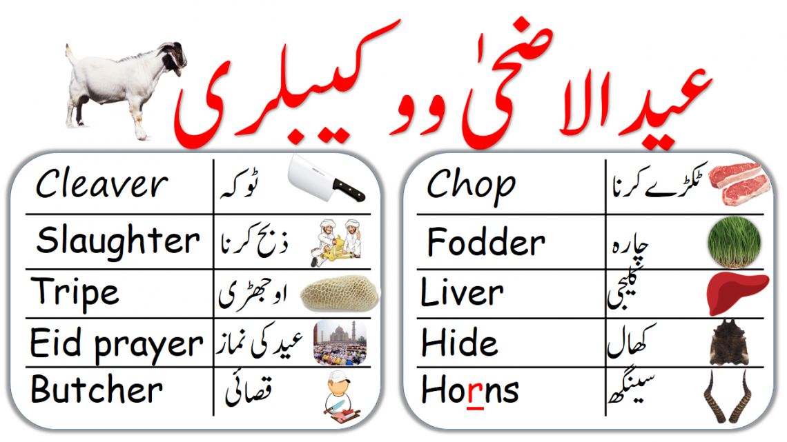 Eid ul Adha vocabulary words in English and Urdu, English vocabulary about eid al adha with Urdu meanings, Eid vocabulary in Urdu, Eid vocabulary in Hindi, Eid vocabulary, English to Urdu vocabulary, Eid Words, Eid vocabulary