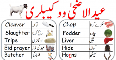 Eid ul Adha vocabulary words in English and Urdu, English vocabulary about eid al adha with Urdu meanings, Eid vocabulary in Urdu, Eid vocabulary in Hindi, Eid vocabulary, English to Urdu vocabulary, Eid Words, Eid vocabulary