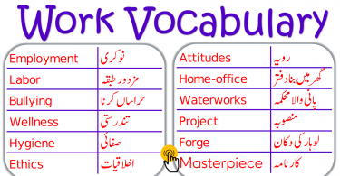Work Related Vocabulary with Urdu Meanings, office vocabulary, office words with Urdu meanings, Job Vocabulary in Urdu