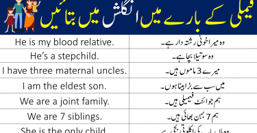 Family Sentences in English and Urdu