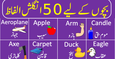 50 Basic English Vocabulary Words For Kids with Urdu Meanings, Kids English, Kids Vocabulary, Speak English with Kids, Kids English