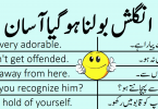 101 Daily Use English Sentences with Urdu Translation