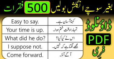 500 Daily Use Sentences PDF