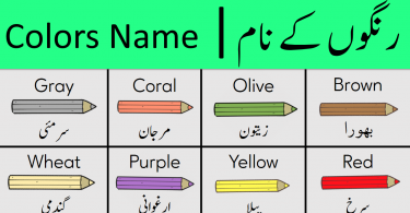 All Colors Names in English and Urdu, Colours Vocabulary with Urdu Meanings, Colours Vocabulary with Hindi Meanings, Colors name in Urdu, Colours name in Hindi