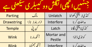 Daily Used English Sentences With Urdu Translation #for #foryou