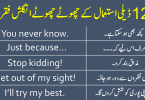 121 English to Urdu Sentences for Daily Use