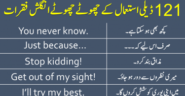 121 English to Urdu Sentences for Daily Use