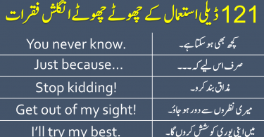 Vocabineer - 121 English Sentences for Daily Use with Urdu