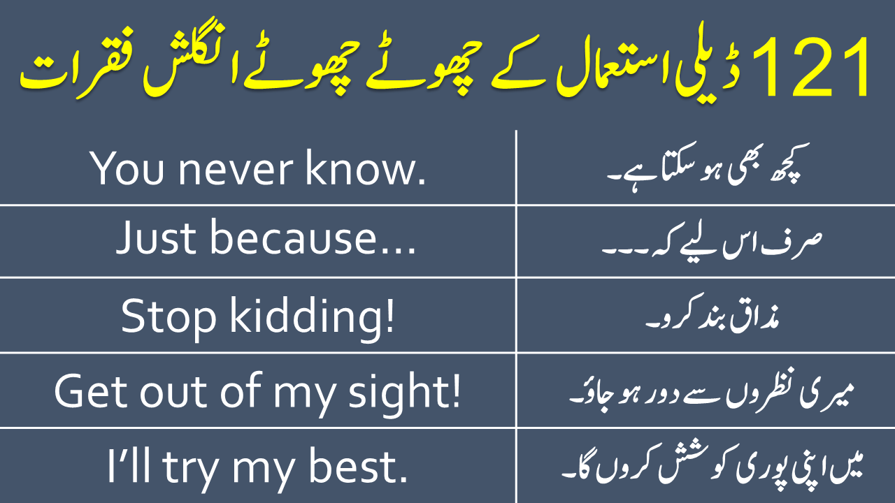 Vocabineer - 121 English Sentences for Daily Use with Urdu