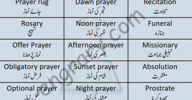 Vocabineer - 121 English Sentences for Daily Use with Urdu