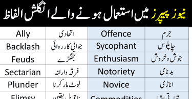 Dawn Newspaper Vocabulary with Urdu Meaning PDF