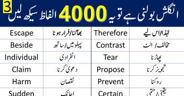 4000 English Vocabulary Words with Urdu Meanings Class 3