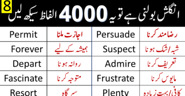 4000 English Vocabulary Words with Urdu Meanings Class 8