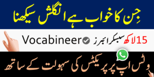Learn English Through Urdu with Vocabineer