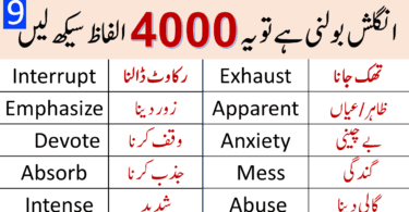 4000 English Vocabulary Words with Urdu Meanings Class 9