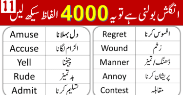 4000 English Vocabulary Words with Urdu Meanings Class 11