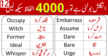 4000 English Vocabulary Words with Urdu Meanings Class 12