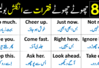88 Daily Use English Speaking Sentences with Urdu Translation
