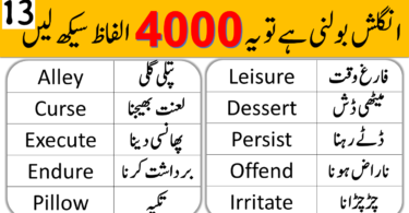 4000 English Vocabulary Words with Urdu Meanings Class 13
