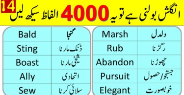 4000 English Vocabulary Words with Urdu Meanings Class 14