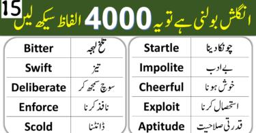 4000 English Vocabulary Words with Urdu Meanings Class 15