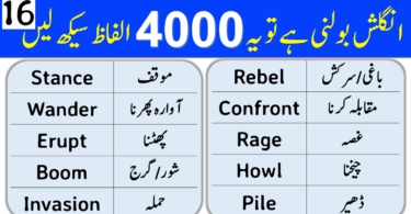4000 English Vocabulary Words with Urdu Meanings Class 16