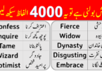 4000 English Vocabulary Words with Urdu Meanings Class 17