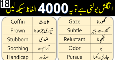 4000 English Vocabulary Words with Urdu Meanings Class 18
