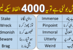 4000 English Vocabulary Words with Urdu Meanings Class 19