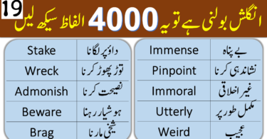 4000 English Vocabulary Words with Urdu Meanings Class 19