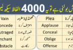 4000 English Vocabulary Words with Urdu Meanings Class 20